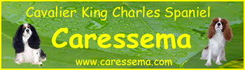 www.caressema.com